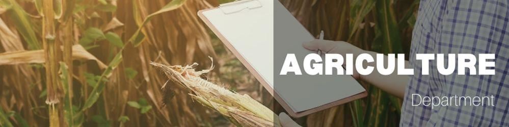 Image of Person holding clipboard in field of corn with title of Agriculture Department Image of Person holding clipboard in field of corn with title of Agriculture Department